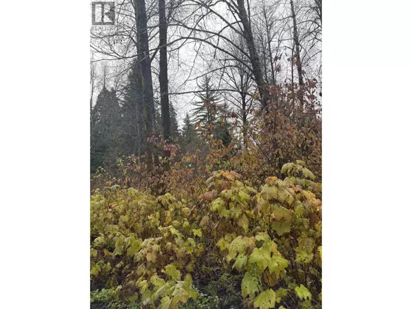 Terrace, BC V8G0E1,DL 1716 KILBY RD #LOT 1