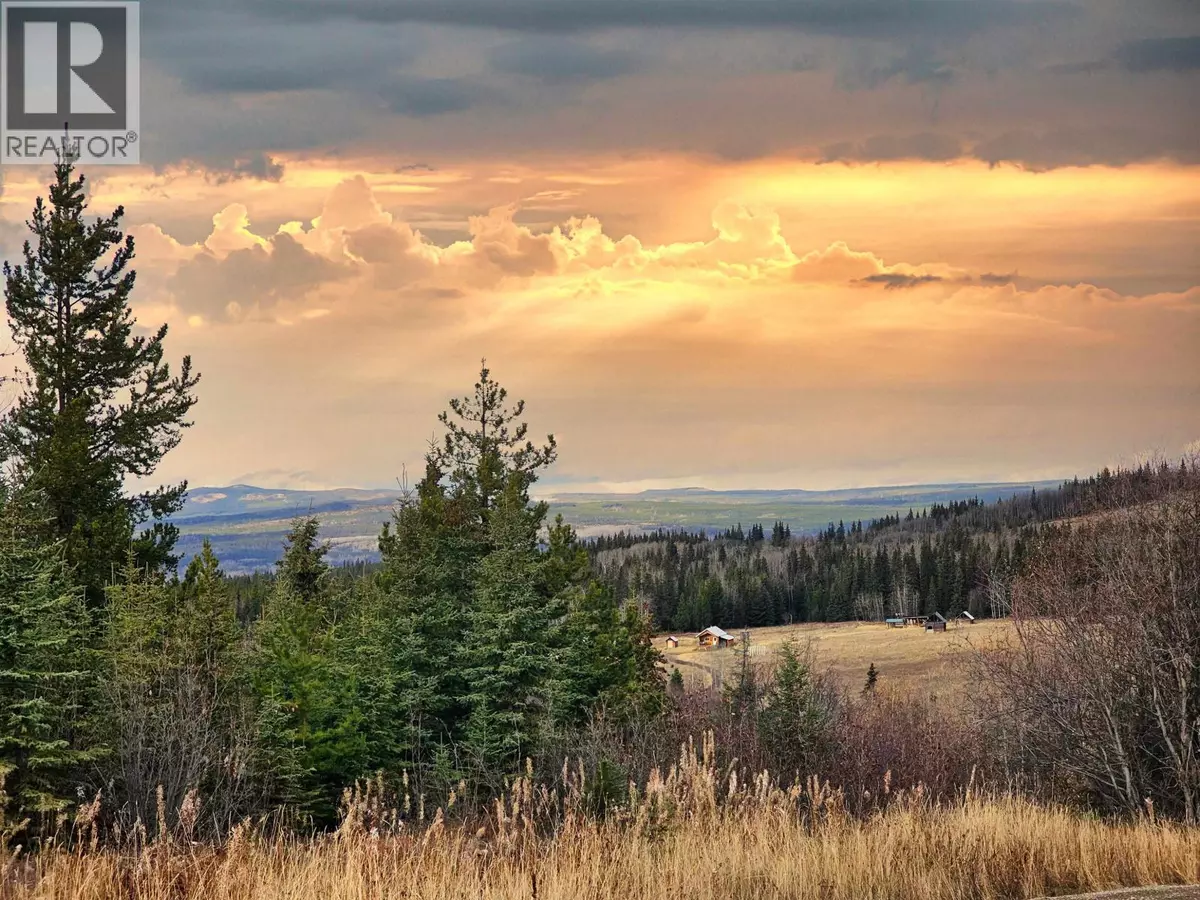 Burns Lake, BC V0J1E4,6646 HAMRE ROAD