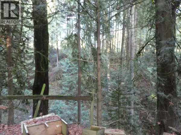 Maple Ridge, BC V4R2G5,14042 232 STREET