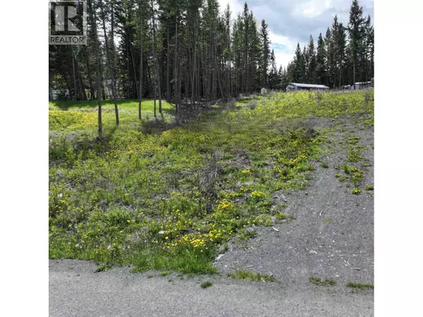 100 Mile House, BC V0K1X3,LOT 48 MULLIGAN ROAD