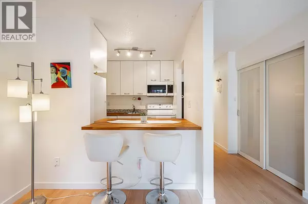 Vancouver, BC V5T1N7,550 East 7TH AVE #101