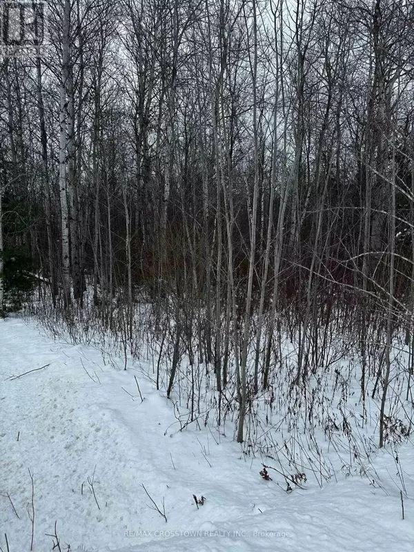 Clearview (stayner), ON L0M1N0,6155 CONCESSION 2