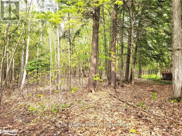 Tiny, ON L9M0C9,LOT 504 SENECA CRESCENT