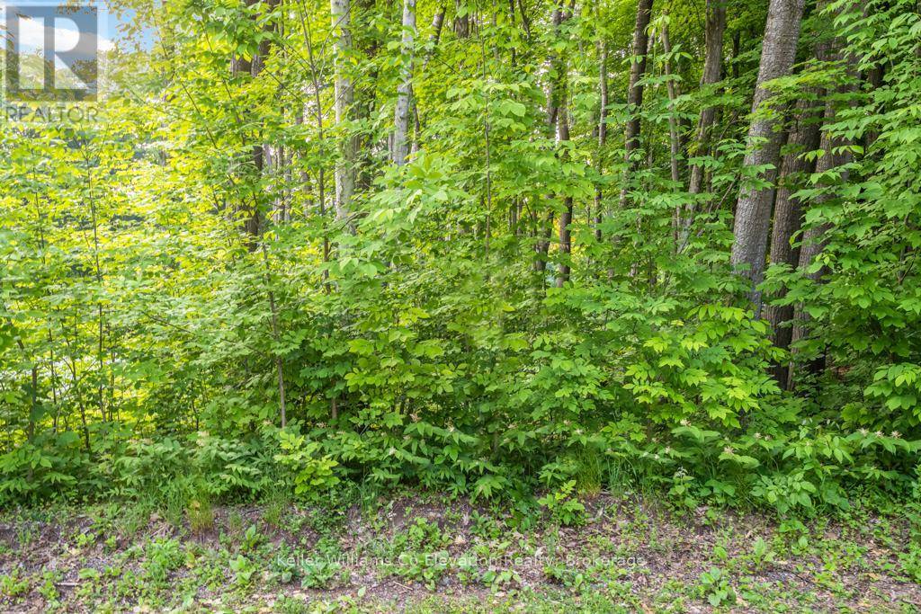 Tiny, ON L9M0B5,LOT 5 FAIRLAWN GROVE