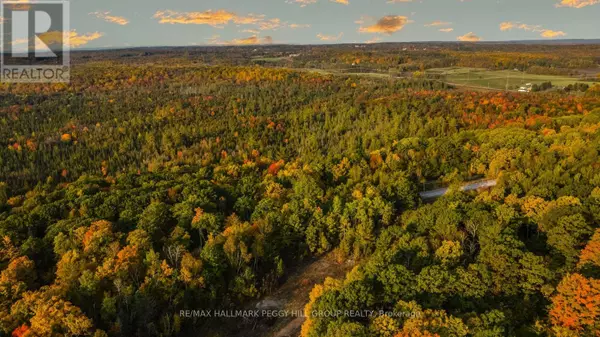 LT23&24 CON 8, Oro-medonte, ON L0K2C0