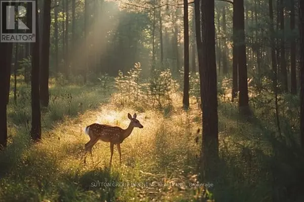 Springwater, ON L0L2K0,13895 COUNTY RD 27 ROAD