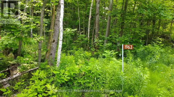 Tiny, ON L9M0H8,1963 LOT 52 TINY BEACHES ROAD N