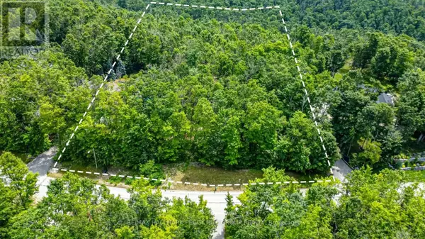 17 MAPLE RIDGE ROAD, Oro-medonte, ON L0L2L0