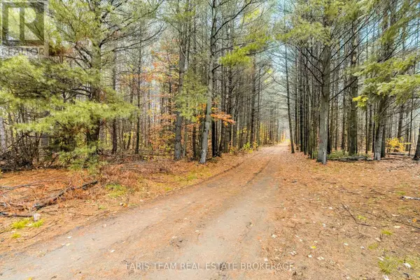 Clearview, ON L0M1N0,5992 CONCESSION 2 SUNNIDALE