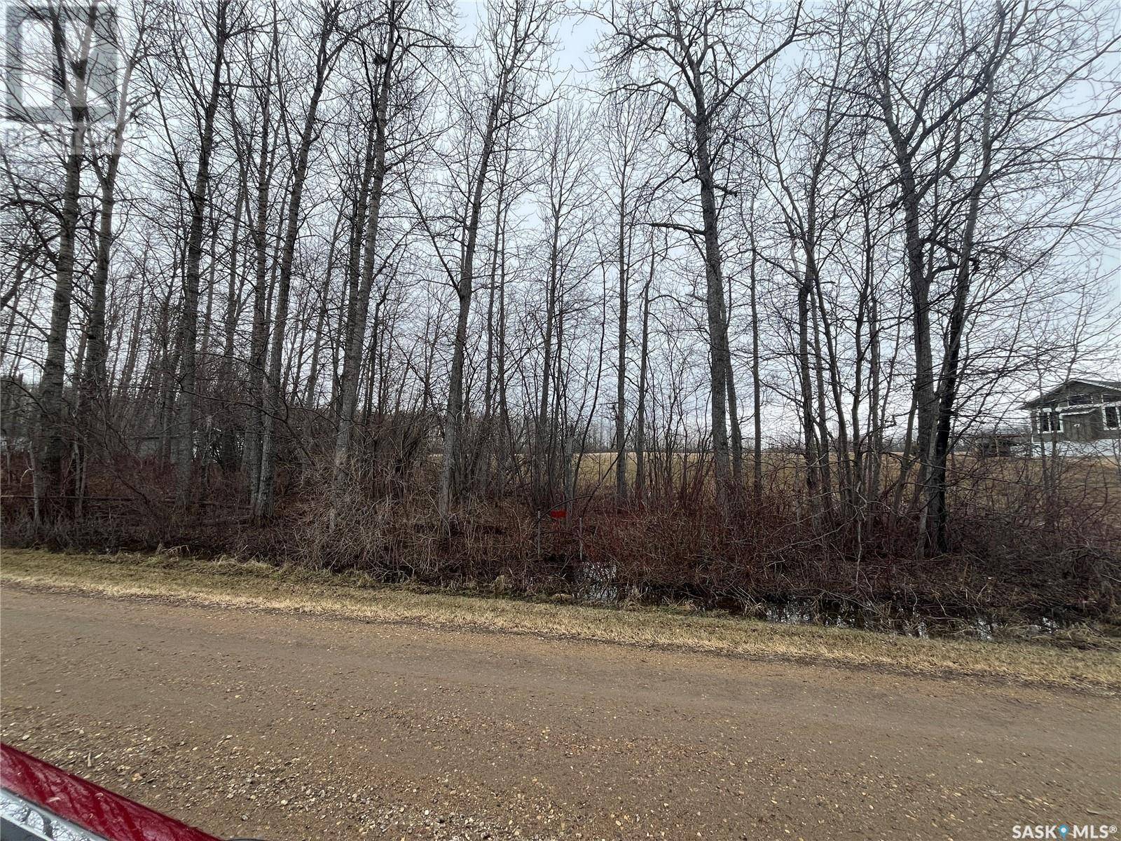 Big River Rm No. 555, SK S0J0E0,4 Delaronde WAY