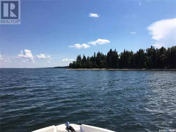 Big River Rm No. 555, SK S0J0E0,26 Porcupine DRIVE