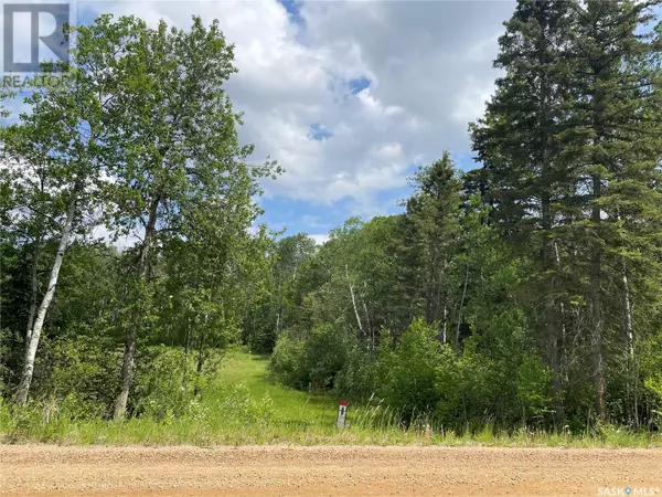 24 Tranquility DRIVE, Big River Rm No. 555, SK S0J0E0