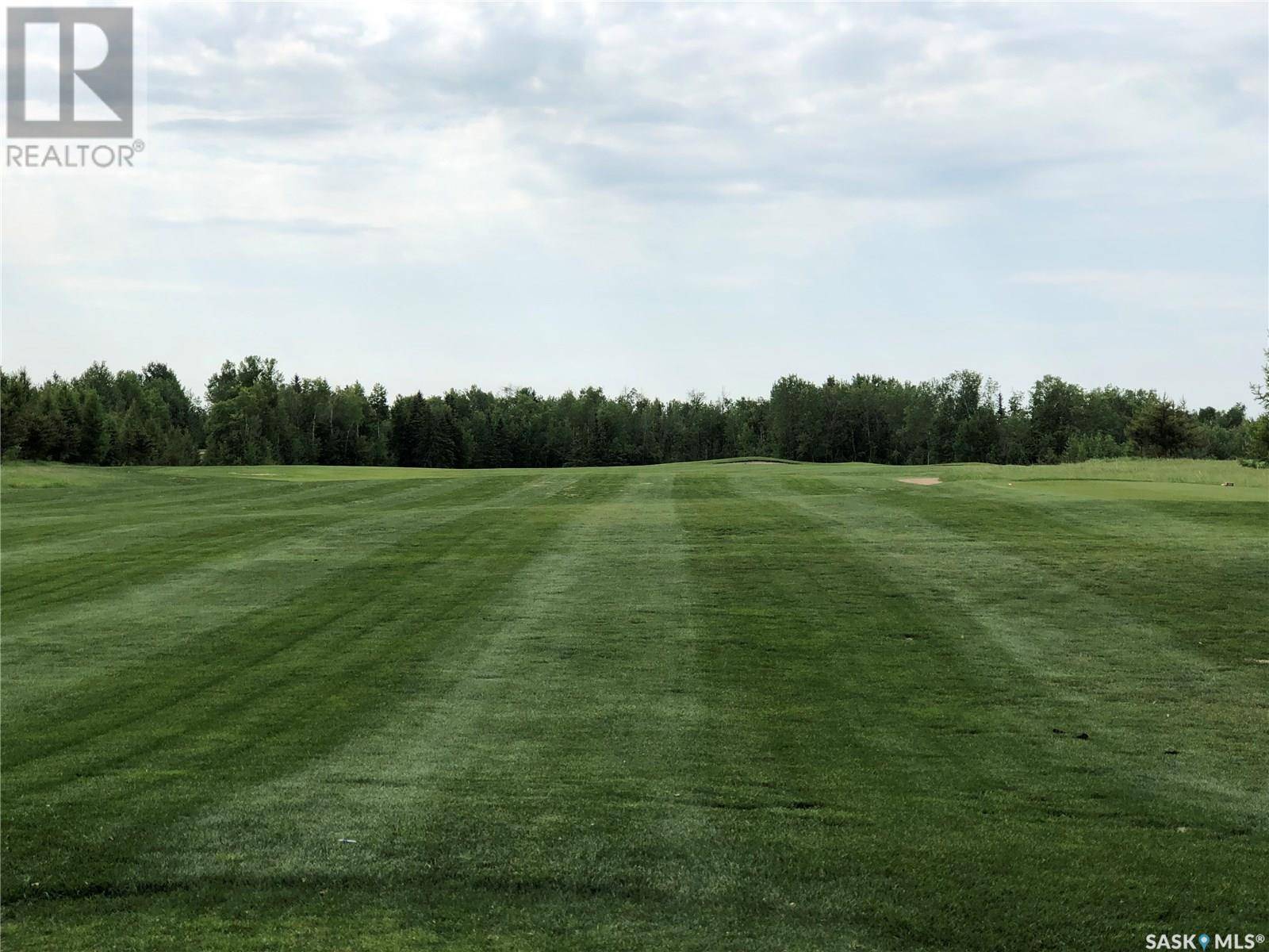 Goodsoil, SK S0M1A0,1 Northern Meadows CRESCENT