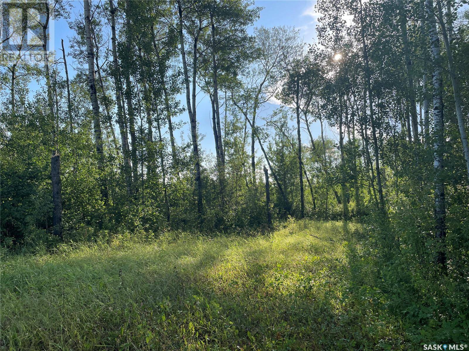 9 Northwood CRESCENT, Big River Rm No. 555, SK S0J0E0