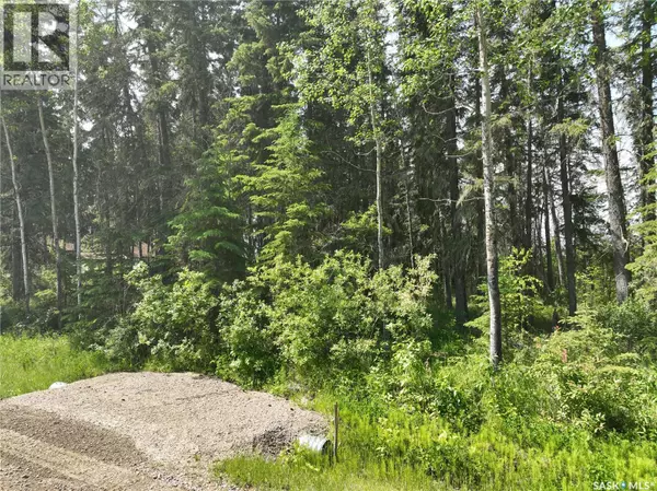 Candle Lake, SK S0J3E0,117 Lakeview DRIVE