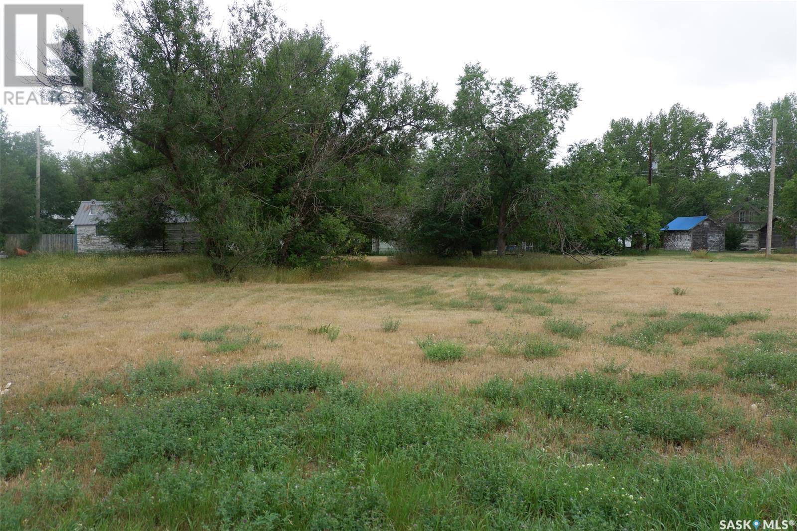 Willow Bunch Rm No. 42, SK S0H3T0,4 & 6 Elziar STREET