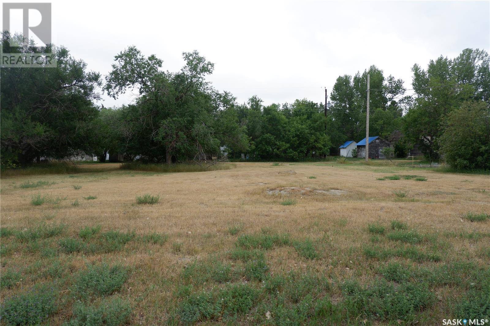 Willow Bunch Rm No. 42, SK S0H3T0,4 & 6 Elziar STREET