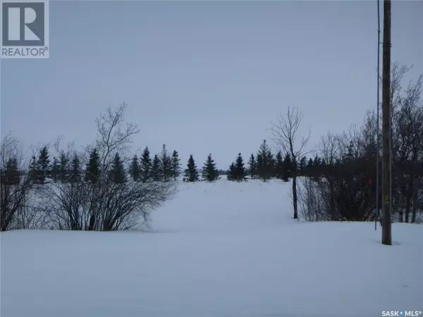 Tisdale Rm No. 427, SK S0E1T0,Cleaveley Acreage