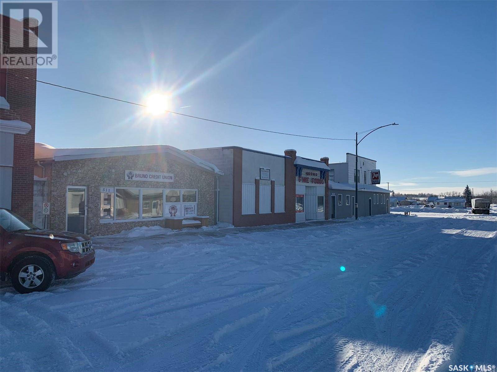 Bruno, SK S0K0S0,513 Main STREET