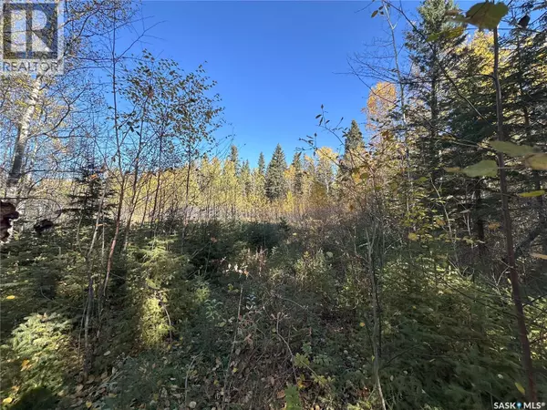 Big River Rm No. 555, SK S0J0E0,2 Buckingham Trail