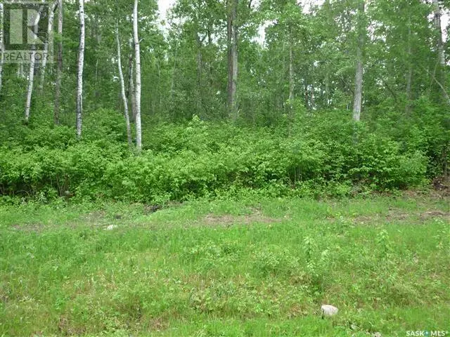 Nipawin Rm No. 487, SK S0E0P0,1 Smits AVENUE