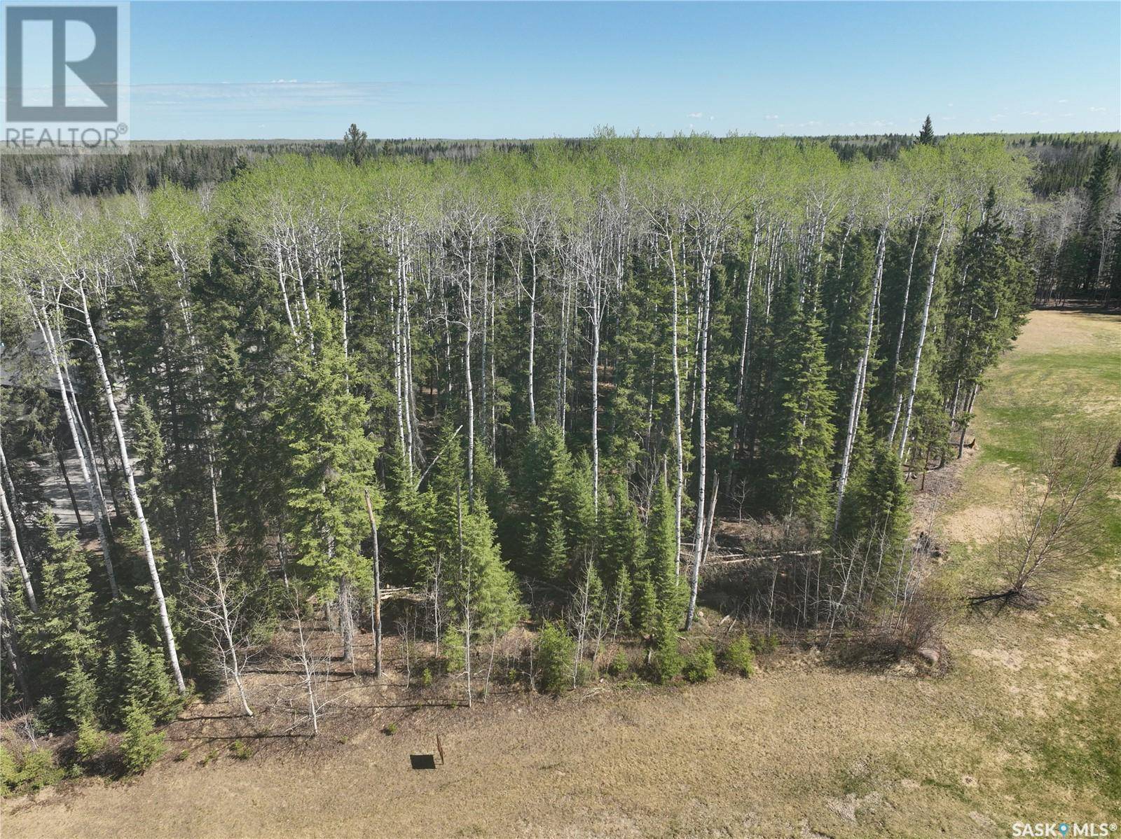 Paddockwood Rm No. 520, SK S0J3E0,305 Meadow Ridge DRIVE