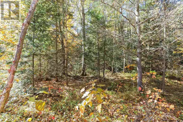 Lot 17 Nokomis Beach RD, Sault Ste. Marie, ON P6A5K6