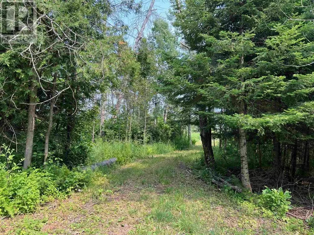 St. Joseph Island, ON P0R1G0,Lot 2 & 3 con Nelson DR
