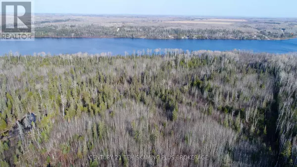 Englehart (central Timiskaming), ON P0J1H0,LOT 11 CON 4, LONG LAKE
