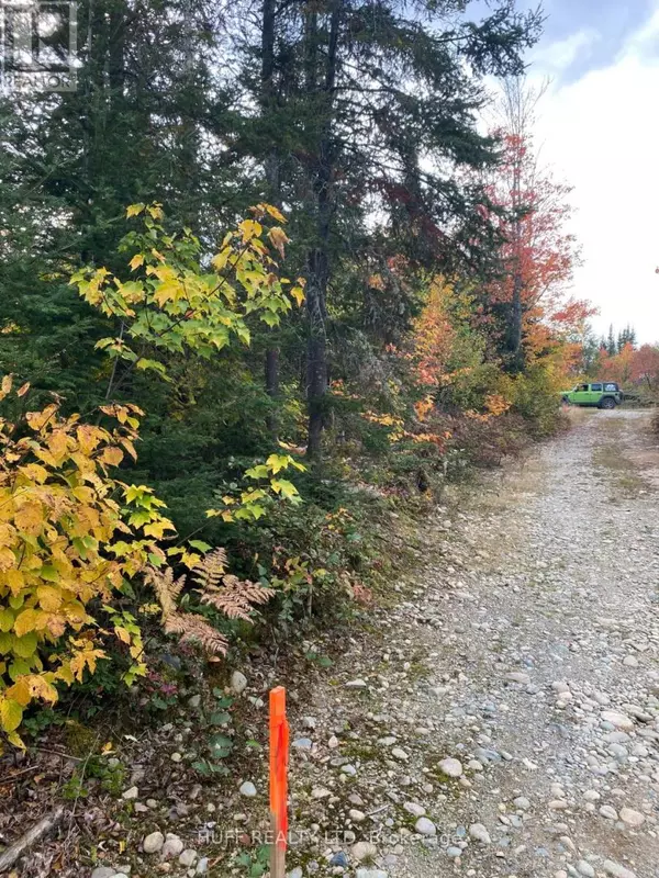 Englehart (central Timiskaming), ON P0J1H0,L1C1 54R-6371 CATHARINE ROAD