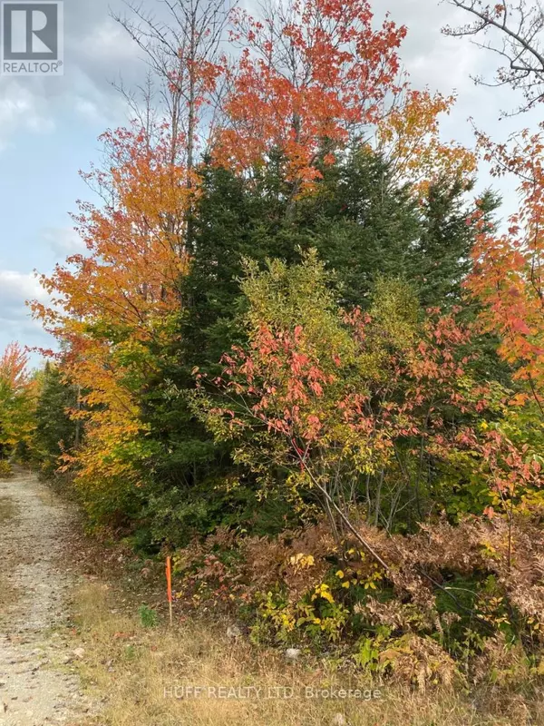 Englehart (central Timiskaming), ON P0J1H0,L1C1 54R-6371 CATHARINE ROAD