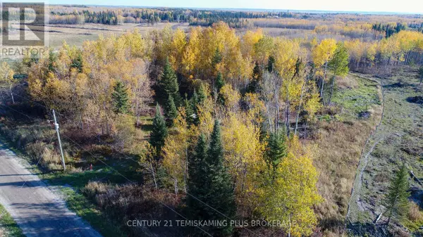 Englehart (central Timiskaming), ON P0J1H0,PCL5224 LITTLE ROAD