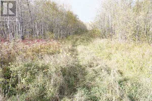 Englehart (central Timiskaming), ON P0J1B0,LOT 1A CAMPBELLS ROAD