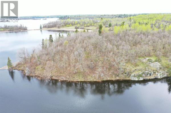 Kenora, ON P0X1C0,LOT 16 BIG NARROWS ISLAND LAKE OF THE WOODS