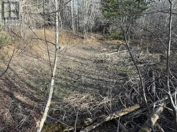 Borups Corners, ON P0V1P0,PCL 17837/24623 Sandy Point RD