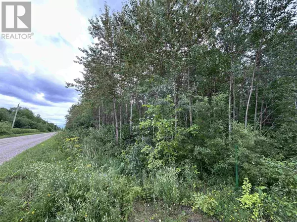 Alberton, ON P9A3M2,905 Frog Creek RD