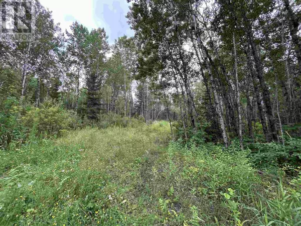 Alberton, ON P9A3M2,905 Frog Creek RD