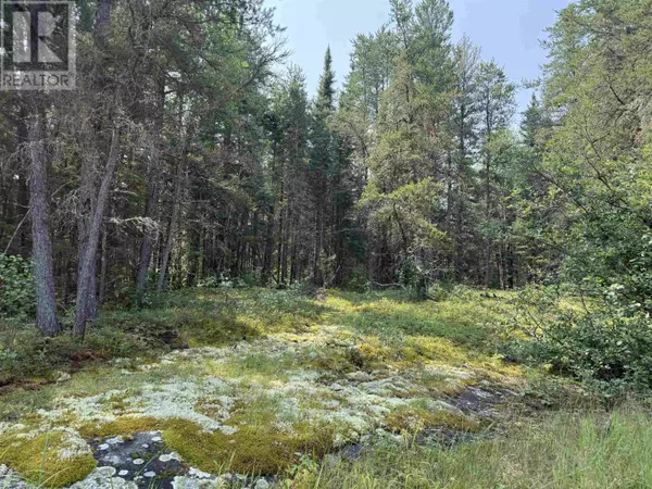 Kenora, ON P9N0E4,LOT 2 Kinger Road