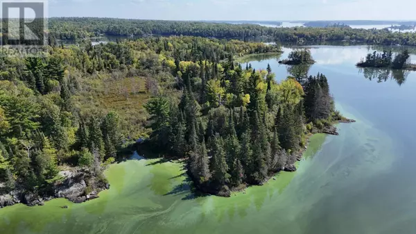 PTS 2, 7, 8 DORION ISLAND LAKE OF THE WOODS, Unorganized, ON P0X1C0