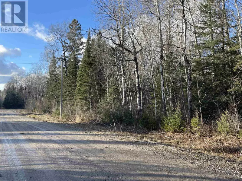 99 Shelley Lane, Dryden, ON P8N2Y4