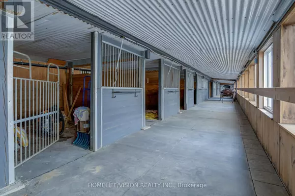 Ramara (atherley), ON L3V6H7,180 COURTLAND STREET