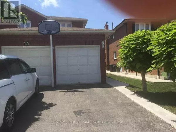 25 Newport ST #Bsmt, Brampton (westgate), ON L6S4N1