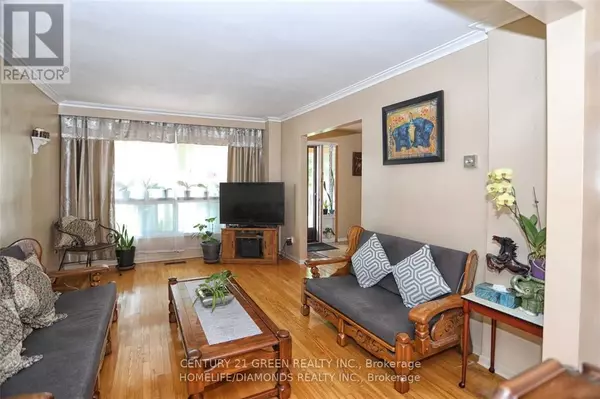 Mississauga (malton), ON L4T3M4,35 YORK STREET