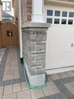 Mississauga (churchill Meadows), ON L5M0K7,5484 Freshwater DR #Basement