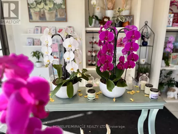 332 Main ST North #9, Brampton (brampton North), ON L6V1P8