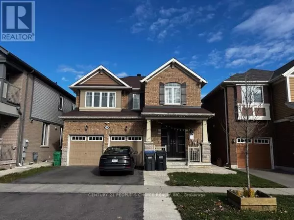 54 Ringway RD #(Basement), Brampton (northwest Brampton), ON L7A4T3