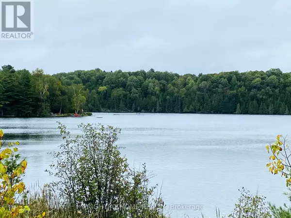 Minden Hills, ON K0M2K0,0 RIDING TRAIL