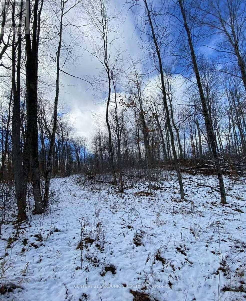 Trent Lakes, ON K0M2A0,1091 CRYSTAL LAKE ROAD