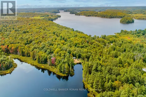 1187 WINDERMERE ROUTE, Muskoka Lakes, ON P0B1M0