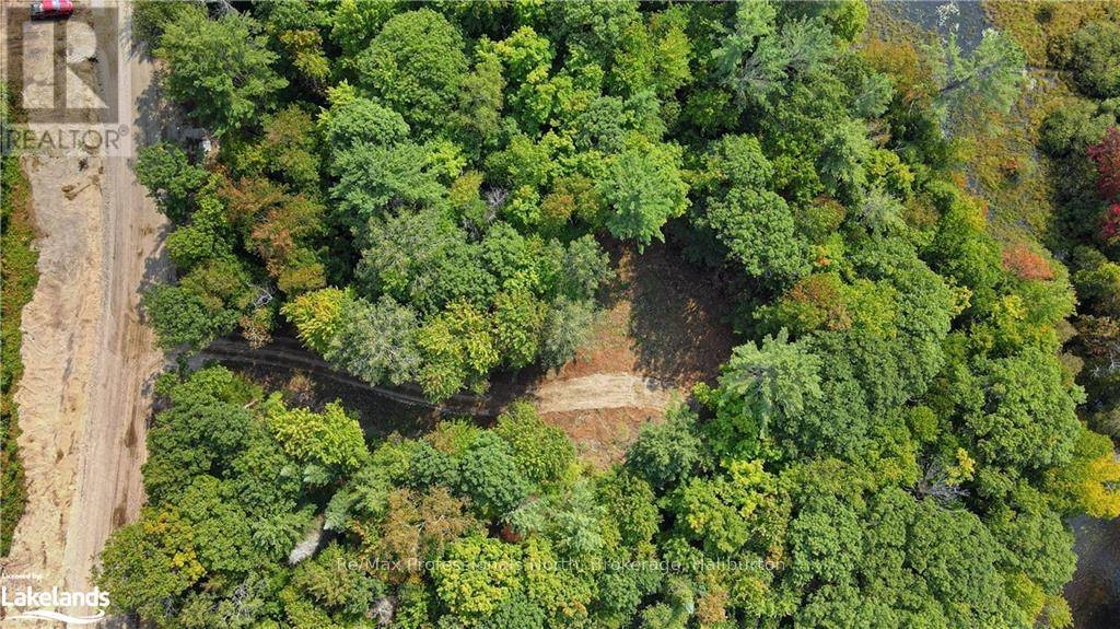 Algonquin Highlands (stanhope), ON K0M1J2,LOT 7